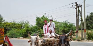 सपा कार्यकर्ता सम्मान समारोह में गरजे नरेश उत्तम, महंगाई के विरोध में बैलगाड़ी से पहुंचे नेता