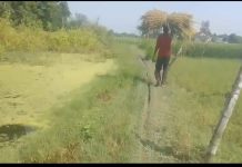 रास्ते के निर्माण की मांग को लेकर ग्रामीण परेशान, शादी-विवाह कार्यक्रम से पहले समस्या दूर करने की गुहार