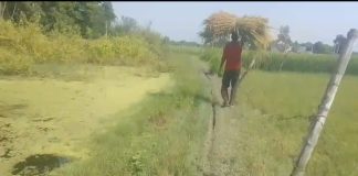 रास्ते के निर्माण की मांग को लेकर ग्रामीण परेशान, शादी-विवाह कार्यक्रम से पहले समस्या दूर करने की गुहार